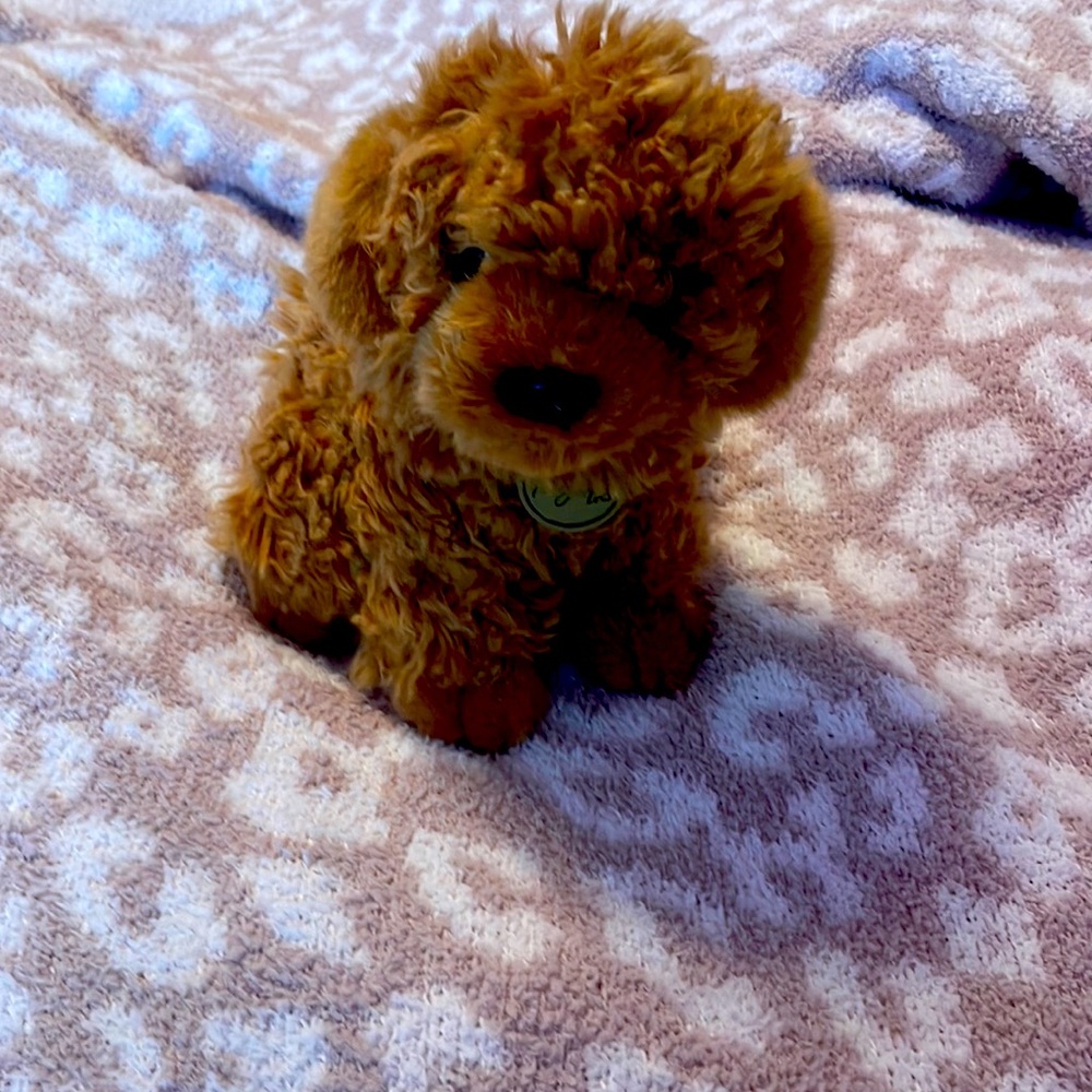 Toy poodle stuffed animal